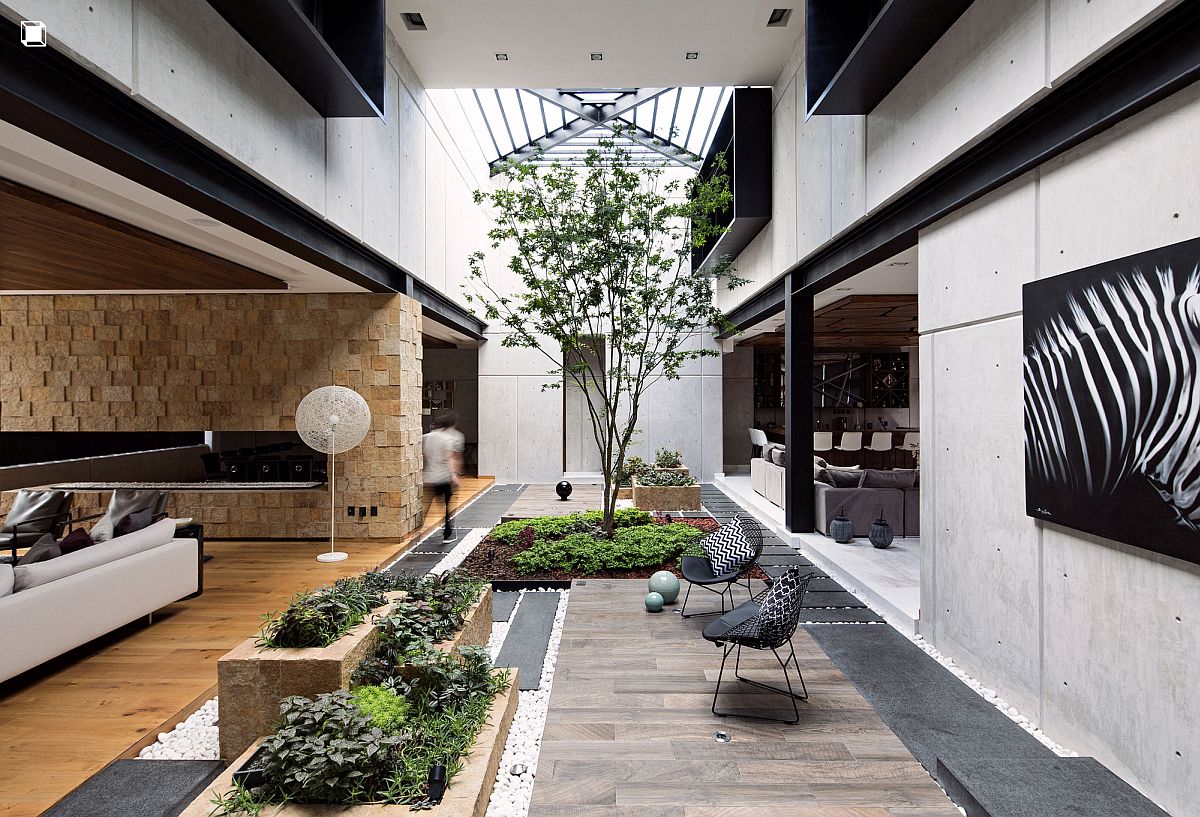 BIENS IMMOBILIERS : MAISON À CIEL OUVERT A PACHUCA DE SOTO, MEXIQUE